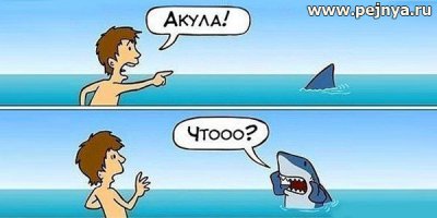 Акула-молот атаковала каяк с рыбаком