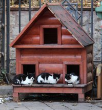 Кошкин дом, Стамбул :)