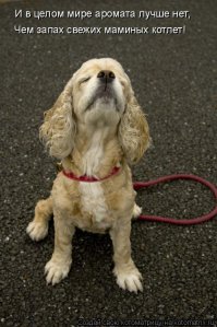 10 природных ароматов, которые меняют настроение