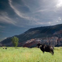 Донецкие пейзажи