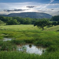 Донецкие пейзажи