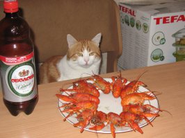 "Таити, Таити. Нас и здесь неплохо кормят" ©