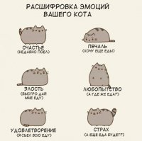 15 котов, которые ведут себя совсем как мы в офисе