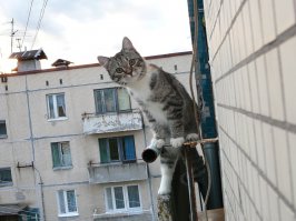 - Ты чего на моём балконе делаешь? Луну фоткаешь?