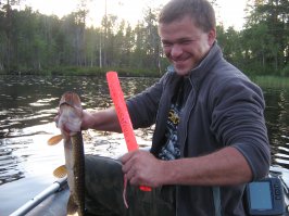 Карелия-2014. Вес 2700. Если ей колотушкой промеж глаз не жахнуть она в лодке полчаса может колобродить. Кстати, при увеличении фото можно прочитать как мы эту чудо-палку назвали и называем до сих пор