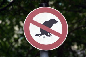 Ха, только у нас в листве бывают бооольшие сюрпризы)))