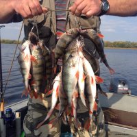 Бармино, 19.09.2015