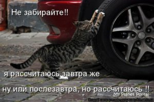 Прикольные картинки