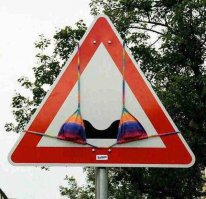 Фотоподборка за 24.09.2015