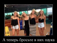 Сука, до слёз
Я половину к себе в копилку утащил