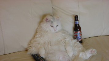 Лень и чревоугодие