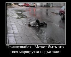 Подборка демотиваторов, которые поднимут вам настроение!