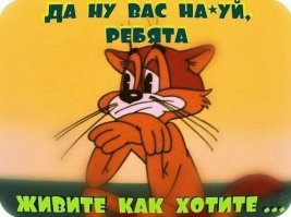 Кото-пост