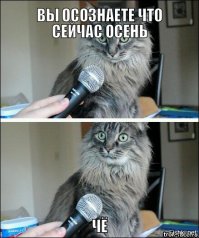 От Сергея СС, вчера поржал...