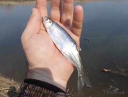 Как же быть...