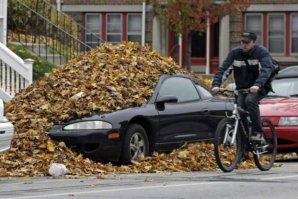 Фото в листьях. Скоро на всех аватарках страны!