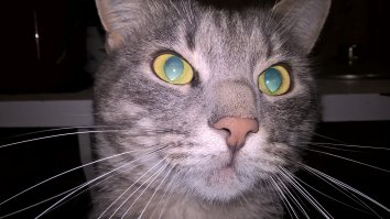 что то я вам не доверяю!!!!