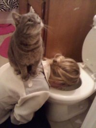 15 котов, которые ведут себя совсем как мы в офисе