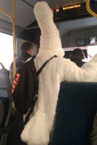 Ветер в харю дует, гусь домой 3,14здует.