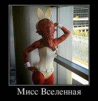 Ага вот она какая , КРАКАЗЯБРА ! Теперь я видел все )))