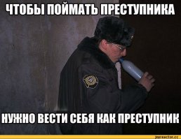 10 самых глупых преступников в мире