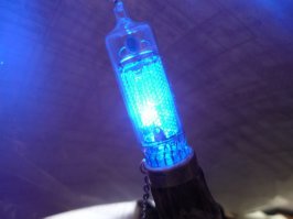 Был у меня вот такой сталкер))светился при приближении к аномалиям )