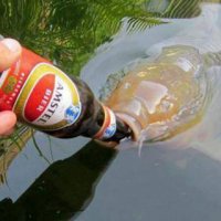 Кое что о немецкой рыбалке