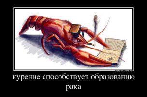 Подборка демотиваторов, которые поднимут вам настроение!