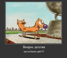 Подборка демотиваторов, которые поднимут вам настроение!