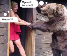 Угадайте, что это за линии в поле?