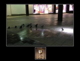 Фотоподборка за 25.09.2015