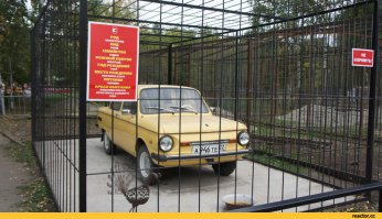 ЗАЗ-968М 1984-го года с пробегом 4536 км