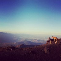 Эта наиболее эпична. Кому-то красоты и природа, а кому-то другое