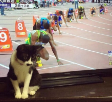 Фотоподборка за 25.09.2015