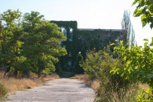 А вот заброшенный лагерь в Крыму.