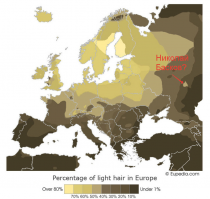 "19. Карта частоты блондинов"