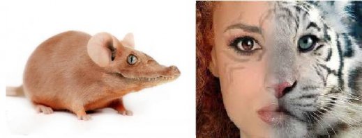 Этого добра в интернете валом !;)