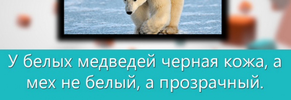Но тогда по логике вещей он должен быть чёрным !