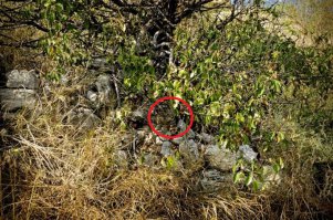 Мозгами пошевелить не желаете?