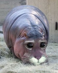 Фотоподборка за 25.09.2015