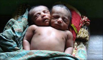 Интересные факты