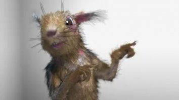 Что можно купить на онлайн-аукционе, если вам по душе таксидермия