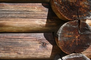 Крестьянские дома XIX века на Русском Севере 