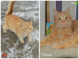 Ха, у этого как была морда хитрая, так и осталась ;)