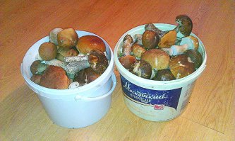 а я так ходил :)