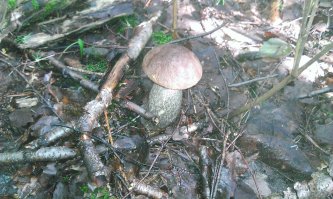 а я так ходил :)