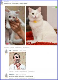 Смешные комментарии из социальных сетей