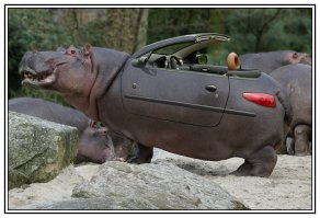 Сделано с юмором