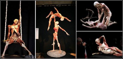 Не совсем токсидермия, но фанатам нравится, скульптуры доктора смерть: