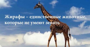 утешу тебя немного